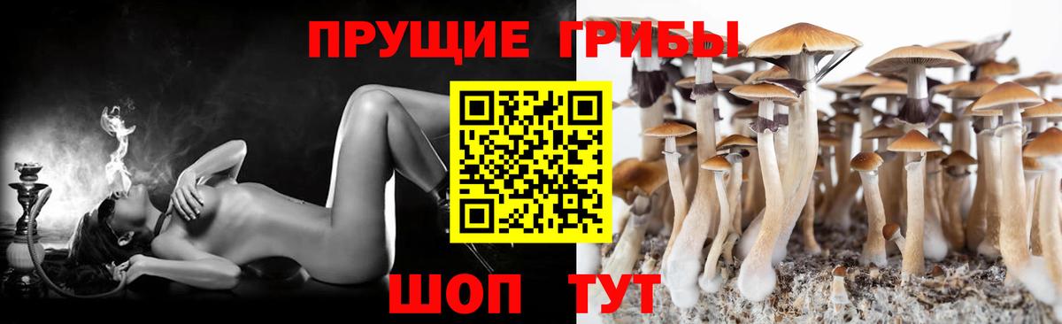 Галлюциногенные грибы ЛСД  Вход с VPN  Тулун  купить закладку  Галлюциногенные грибы GOLDEN TEACHER 